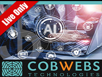 Cobwebbs Webinar_LECC